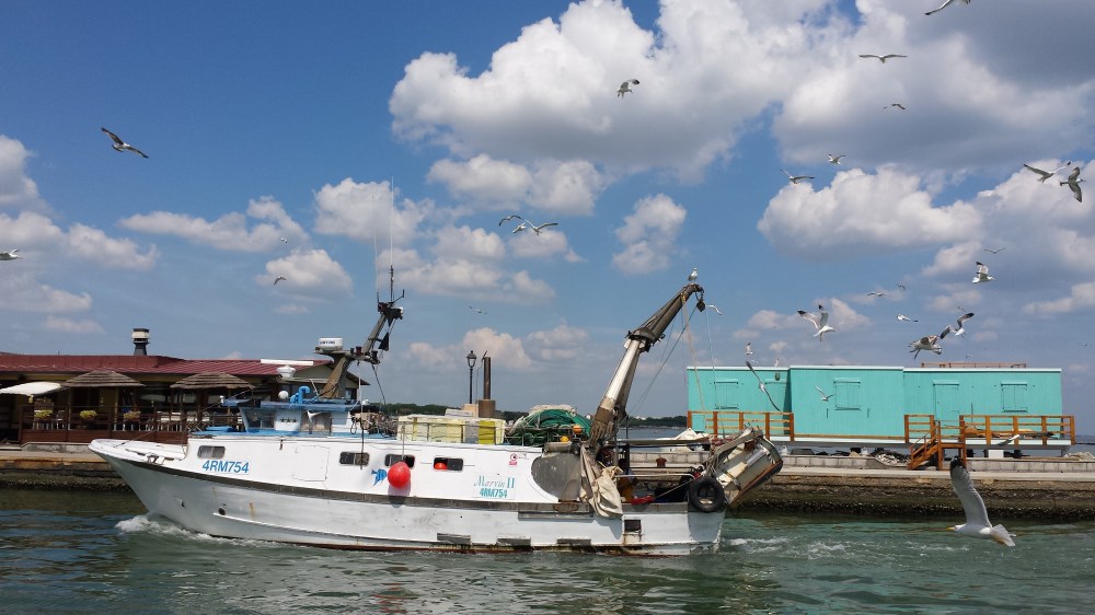 fishermen boat and seagulls