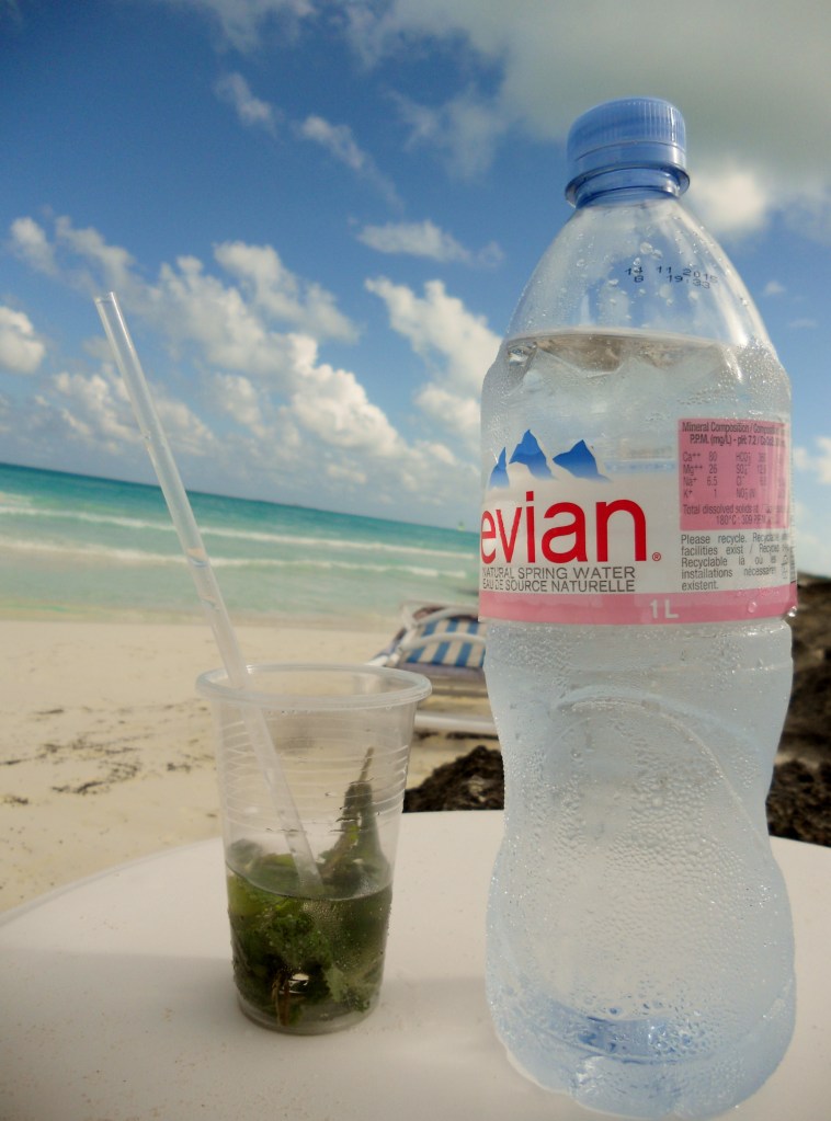 beach sea relax mojito mint water avian