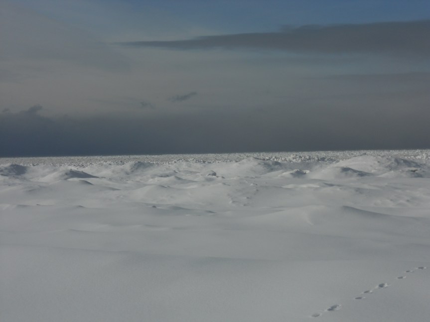 snow landscape in canada frozen ontario lake