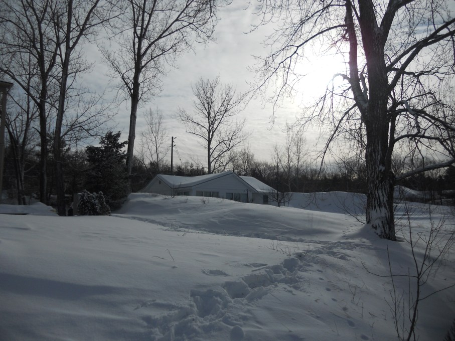 snow banks and canadian cottages on the lake